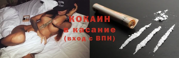 спайс Алзамай