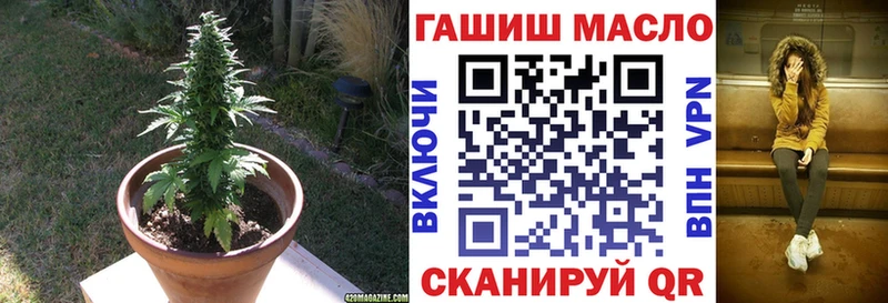 как найти закладки  Алупка  mega вход  ТГК вейп с тгк 