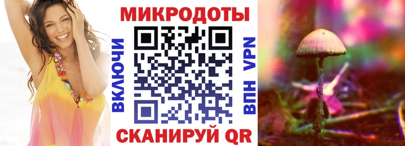 купить наркотик  Алупка  Псилоцибиновые грибы GOLDEN TEACHER 